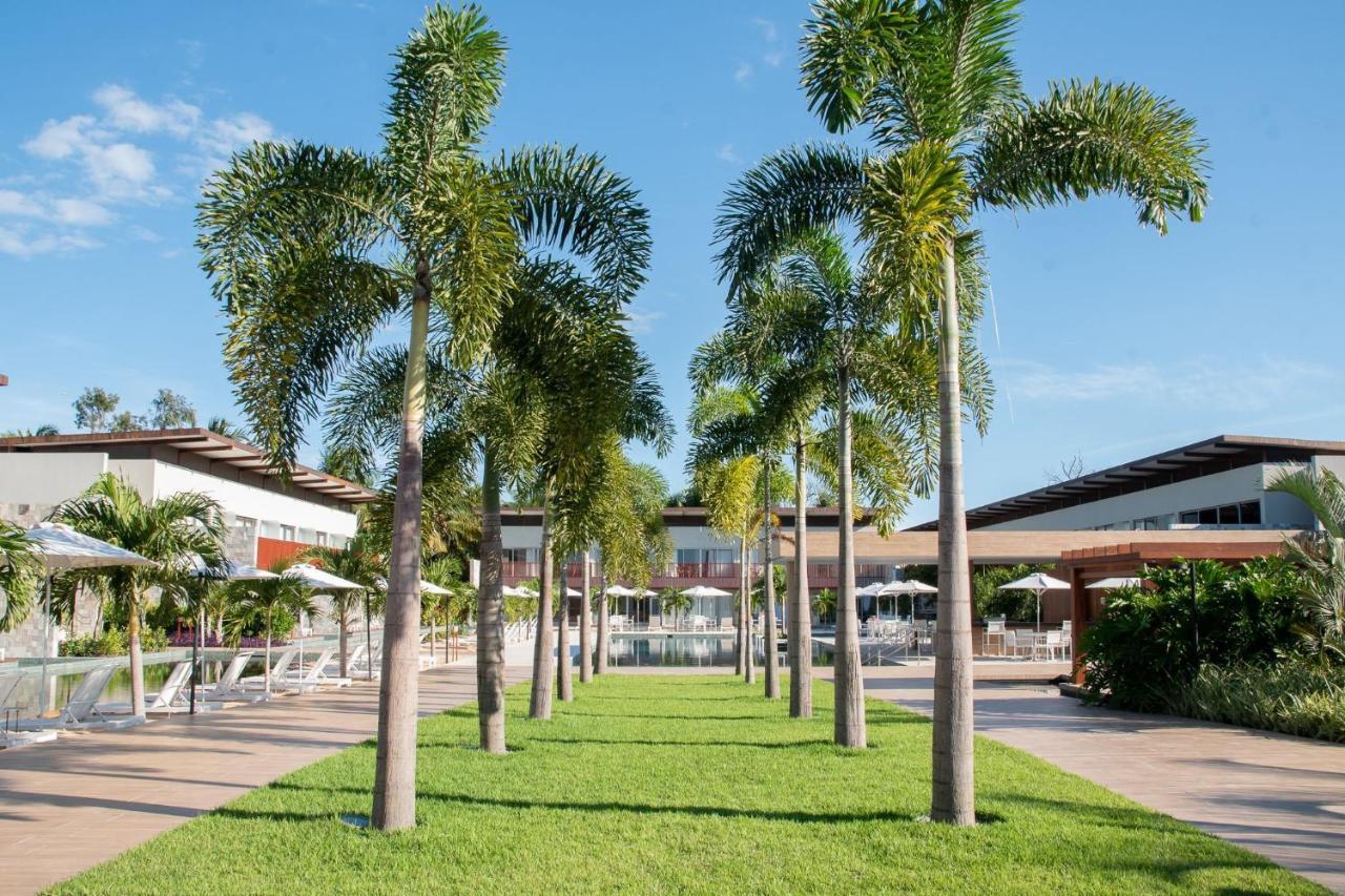 Qavi - Flat na rua Principal com vista jardim #ÎledePipa Praia de Pipa Exterior foto